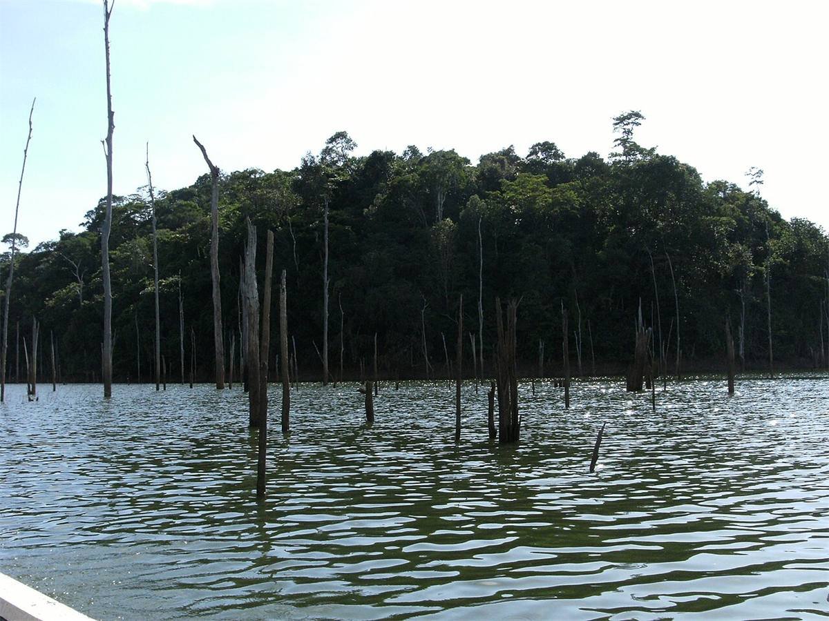 Dagtrip Ston Island