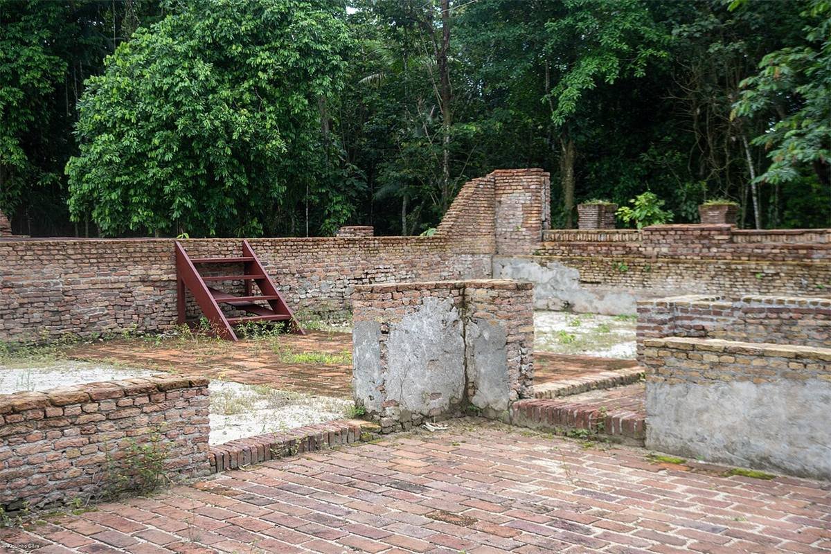 Jodensavanne & Cassiporakreek