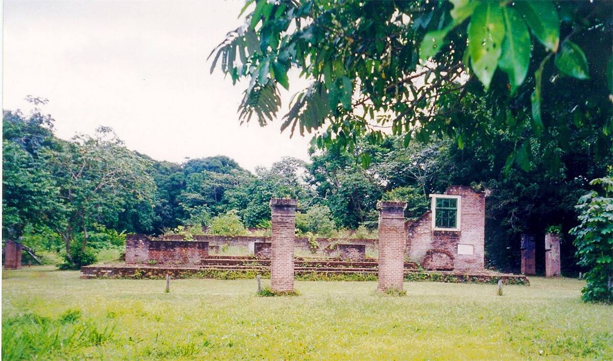 Jodensavanne & Cassiporakreek